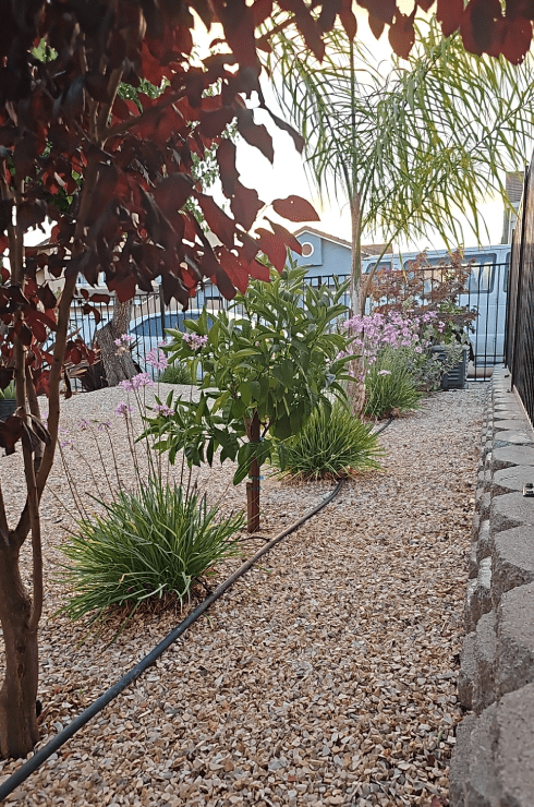 Magana Sunset Landscaping